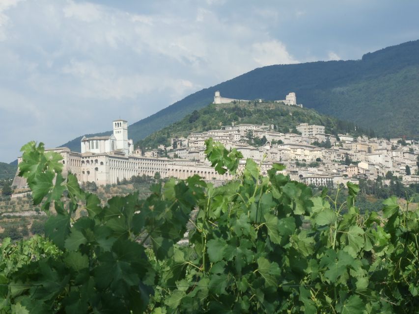 Pic nic Deluxe Assisi and wine tasting 5 wines - Practical Tips so Your Day Stays Easy