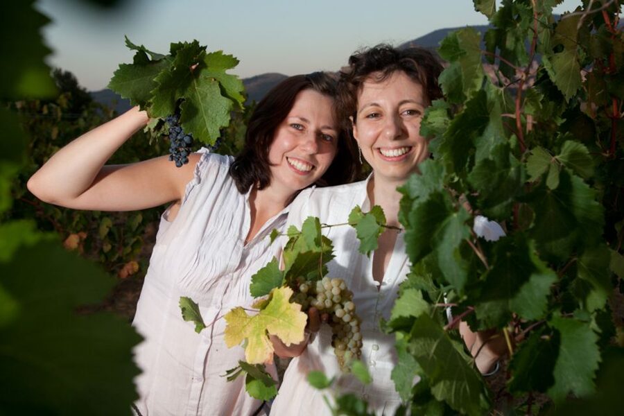 Pic nic Deluxe Assisi and wine tasting 5 wines - The Vineyards Walk: Grape Rows, Olive Groves, and Helpful Boards