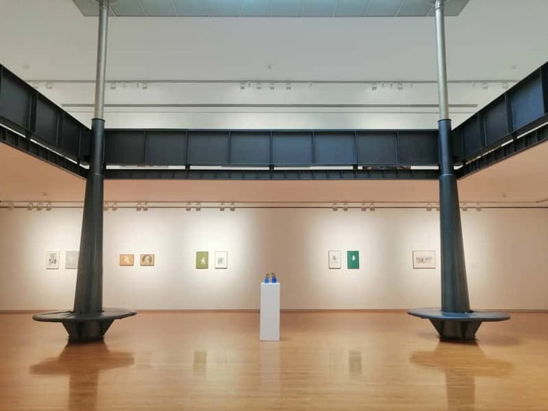 Picasso Museum and Walking Tour Plus Wine Tasting Upgrade - A Picasso Walk With a Skip-the-Line Museum Ticket