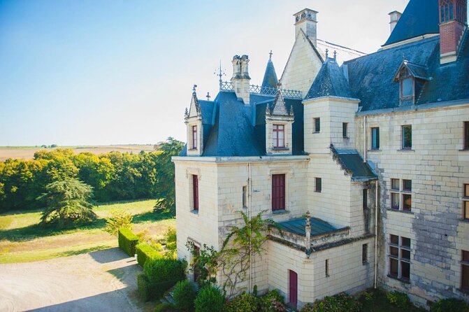 Picnic in the Vines - A Unique Loire Wine Experience - Key Highlights You Should Not Miss