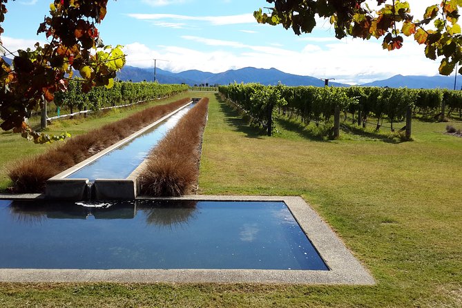 Picton Cruise Ship Shore Excursion Marlborough Wine Tour - Price and value at $155.14: what you’re really paying for