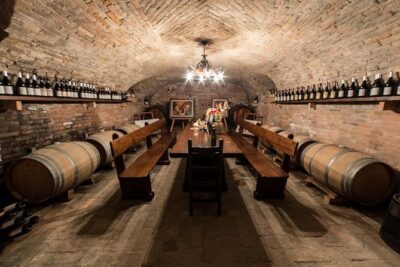 Piedmont Winery Tour: Taste Barolo, Barbaresco & Traditional Food - The 2-hour pacing: vineyards, cellar, then tasting with food