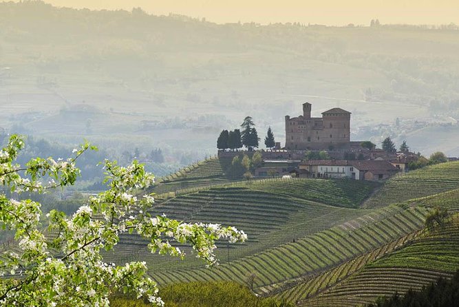 Piedmont Winery Tour: Taste Barolo, Barbaresco & Traditional Food - The family-run vibe: Carlo, Charles, and pride in the craft