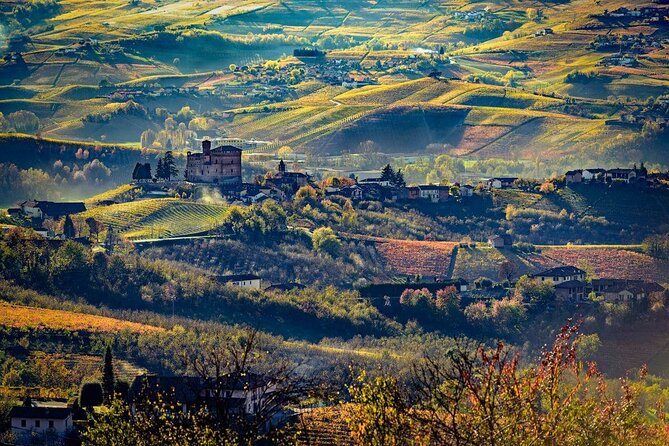 Piedmont Winery Tour: Taste Barolo, Barbaresco & Traditional Food - Buying wine the easy way: shop pricing and the 200 eur perk