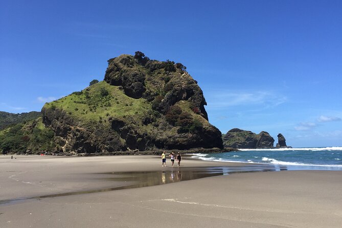 Piha Waitakere Rainforest Wine Tour from Auckland - Piha Beach Stop: Black Sand, Surf Energy, and Easy Walk Time