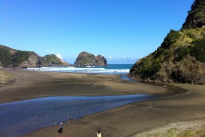 Piha Waitakere Rainforest Wine Tour from Auckland - Price and Logistics: What $195.48 Buys You