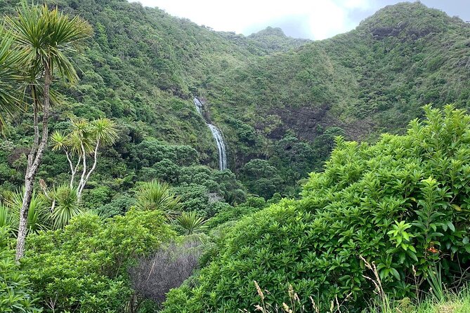 Piha Waitakere Rainforest Wine Tour from Auckland - How the Timing Works: Four Big Blocks of Your Day