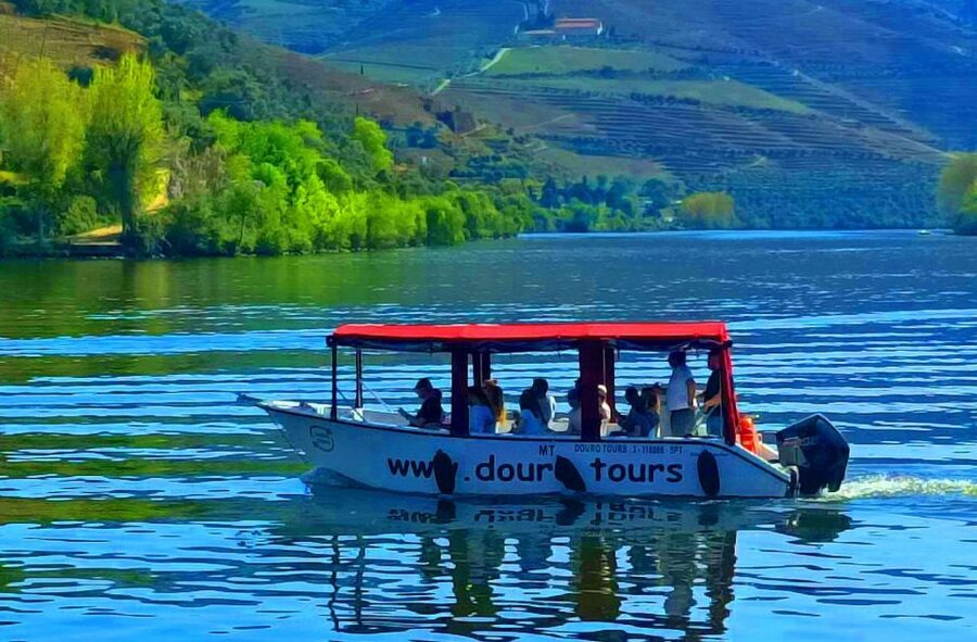 Pinhão: Douro River 50-min Boat Trip with Port Wine - Key things I’d bet you’ll notice