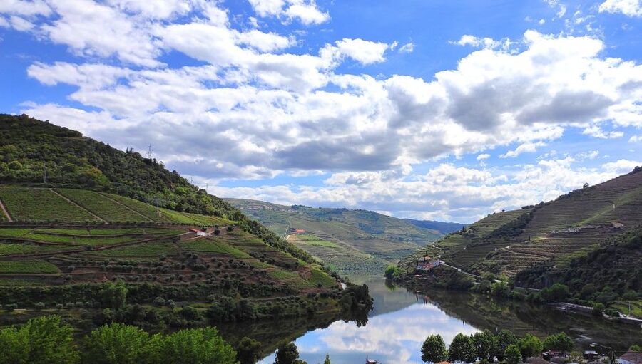 Pinhão: Douro River 50-min Boat Trip with Port Wine - Guides, comfort, and safety: what makes the ride feel easy