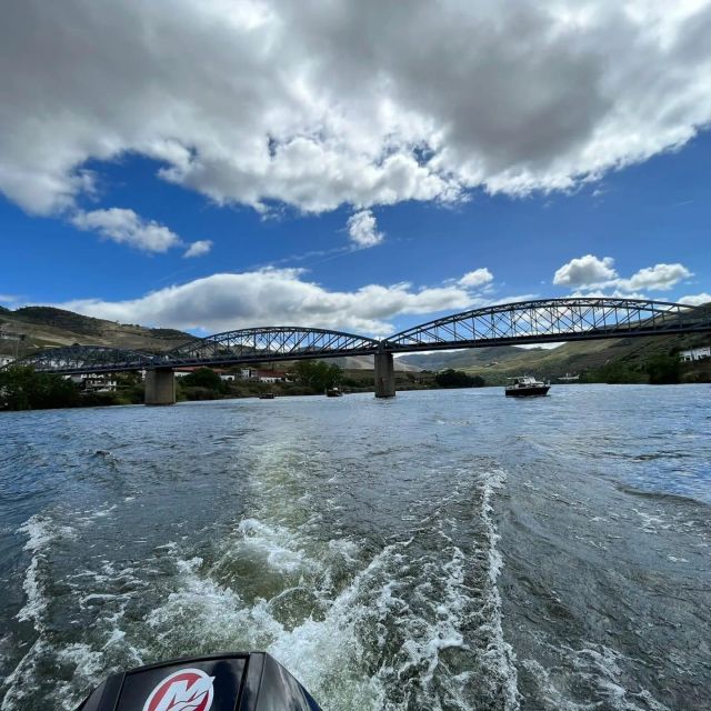 Pinhão: Douro River 50-min Boat Trip with Port Wine - Who this cruise suits best (and who should choose something else)