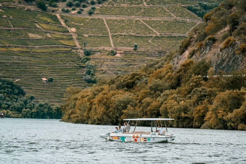 Pinhão: Douro River Solar Boat Tour with Wine Tasting - Timing and pacing: why one hour feels like the right amount