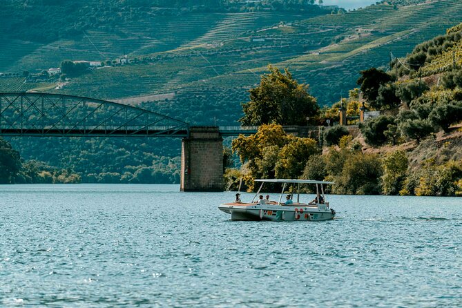 Pinhão: Electric Boat Experience 1h - Taste of Two Wines - Solar Boat Serenity on the Douro, Straight From Pinhão