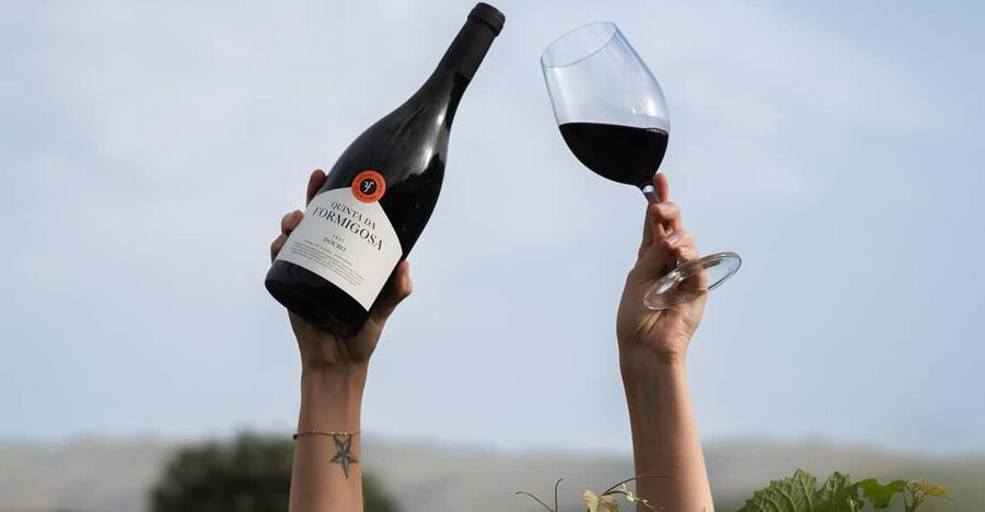 Pinhão: Quinta da Formigosa Vineyard Tour and Wine Tasting - Key points to know before you go