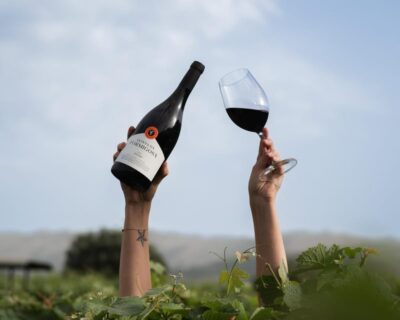 Pinhão: Quinta da Formigosa Vineyard Tour and Wine Tasting - The 1.5-hour rhythm: from vineyard photo stop to wine tasting