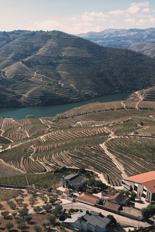Pinhão: Quinta da Formigosa Vineyard Tour and Wine Tasting - Tasting room over the Douro: how the 3-wine session feels
