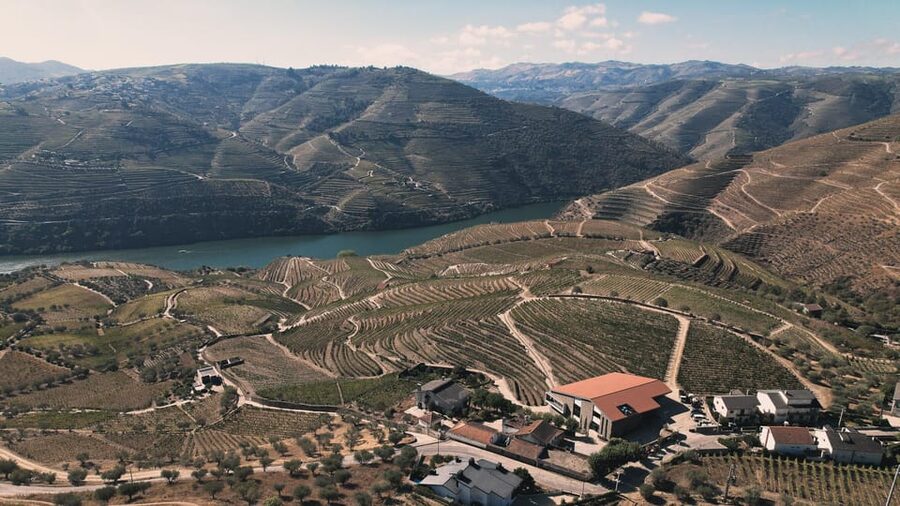 Pinhão: Quinta da Formigosa Vineyard Tour and Wine Tasting - Who this tour suits (and who might want a different plan)