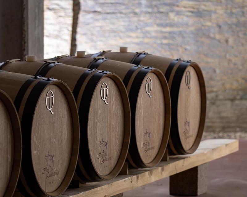 Pinhão: Quinta da Formigosa Vineyard Tour and Wine Tasting - Price and value: is $35 worth it in the Douro?