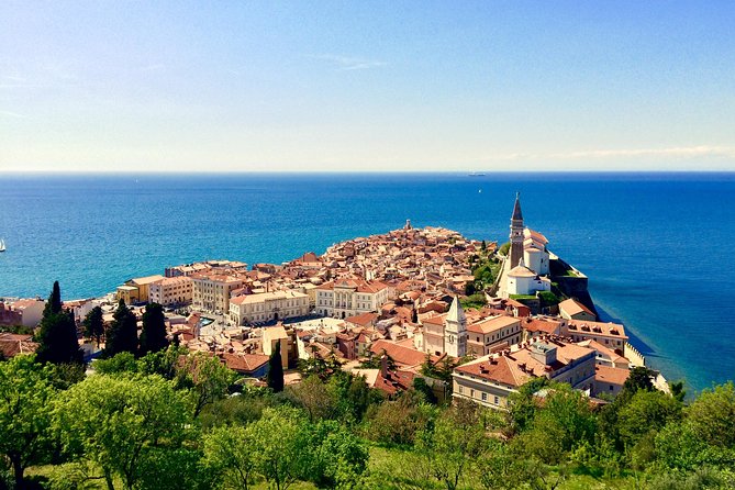 Piran Walking Tour with Local Wine and Food Tasting - First of May Square: snacks, wine, and local products in the center of town