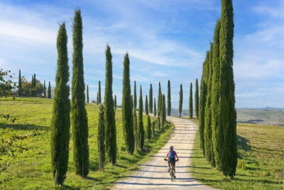 Pisa, Siena and San Gimignano Day Trip with Lunch & Wine Pairing - A Winery Lunch Outside San Gimignano: 3 Courses and a Real Wine Break