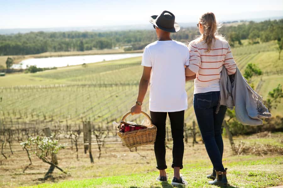 Pokolbin: Picnic & Wine Tasting at Audrey Wilkinson Vineyard - Key Highlights You’ll Care About