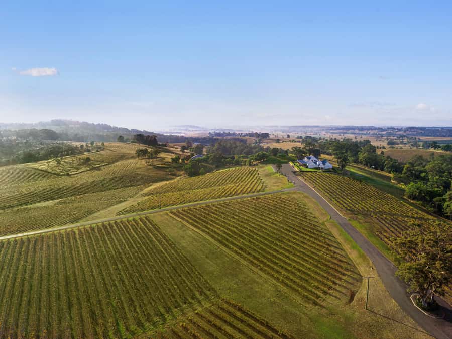 Pokolbin: Picnic & Wine Tasting at Audrey Wilkinson Vineyard - Why Audrey Wilkinson’s Cellar Door in Pokolbin Makes Sense
