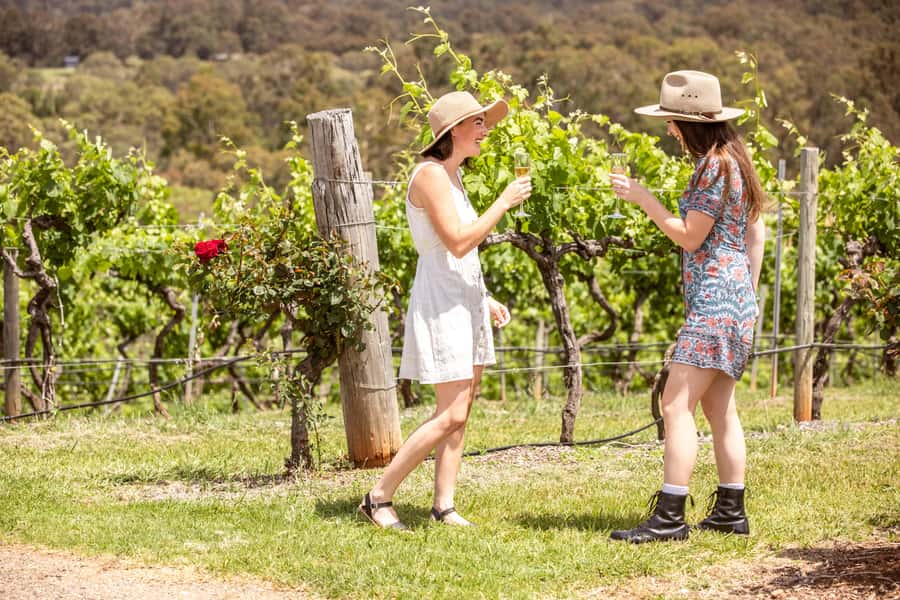 Pokolbin: Picnic & Wine Tasting at Audrey Wilkinson Vineyard - Premium Tasting Plus a Take-Your-Wine Picnic Plan