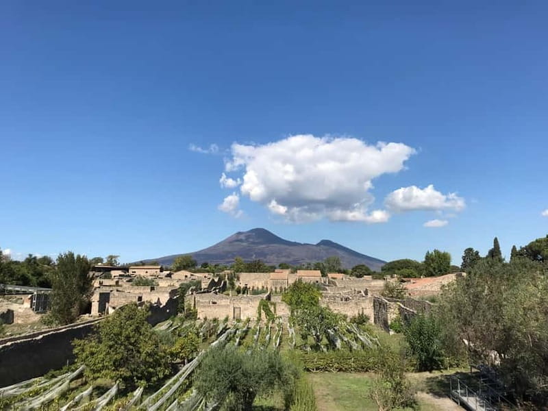 Pompeii: Archeological Tour & Wine Tasting at Mt. Vesuvius - The transfer to Vesuvius and the Casa Setaro winery experience