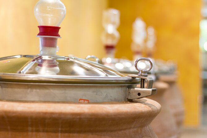 Pompeii Guided Tour & Lunch with Superior Wine Tasting - Wine stops and service styles: why one tasting can feel better