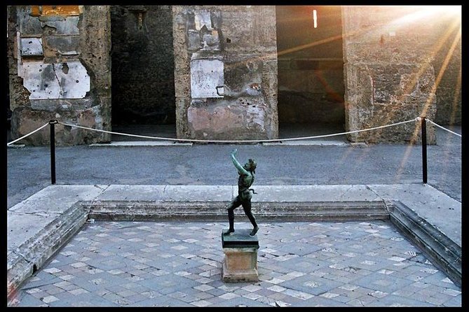 Pompeii, Mt Vesuvius and Wine Tour - Getting picked up: comfortable van, and your timing matters