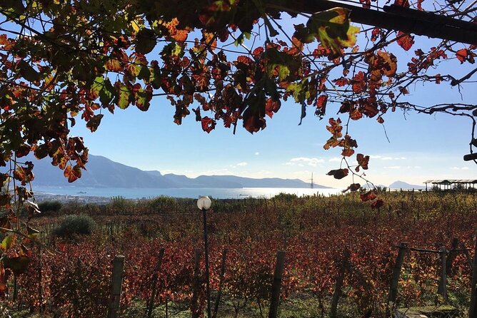 Pompeii, Mt Vesuvius and Wine Tour - Mt. Vesuvius hike: what the crater-rim walk really feels like