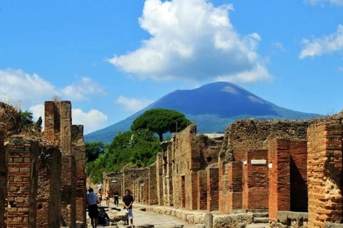 Pompeii, Mt Vesuvius and Wine Tour - Pompeii in two hours: a private guide makes it stick