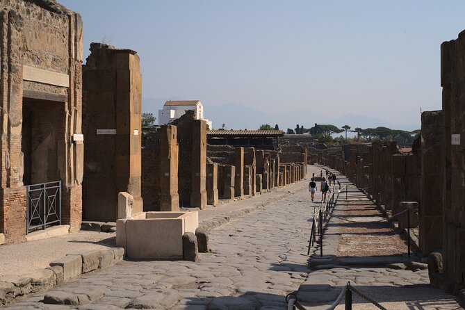 Pompeii Tour & Lunch with Wine Tasting Experience - The Lunch Menu: Courses, Pairing, and a Vegetarian Option