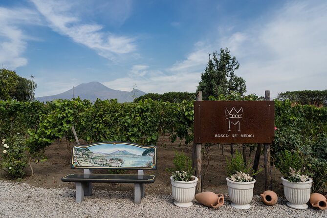 Pompeii Vineyard Escape: Private Wine Tasting & Lunch - Getting There: Meeting Point, Timing, and the Walk You Should Plan For