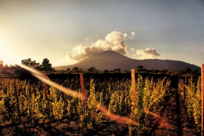 Pompeii with Wine Tasting and Lunch from Naples - Pompeii guided walk: what you’ll actually get out of the ruins