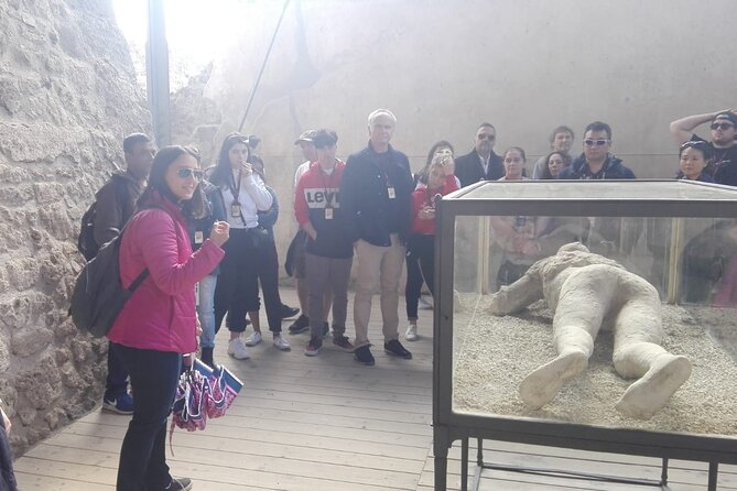 Pompeii with Wine Tasting and Lunch from Naples - Campania Ars Vinearia: vineyards on Vesuvius and what the soil story means