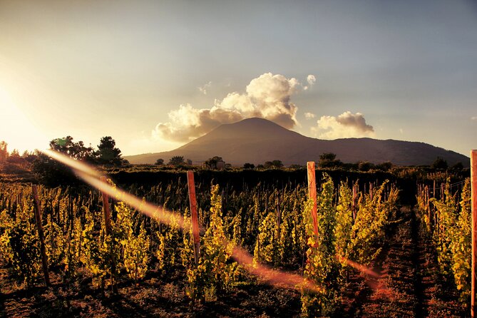 Pompeii with Wine Tasting and Lunch from Naples - Pompeii guided walk: what you’ll actually get out of the ruins