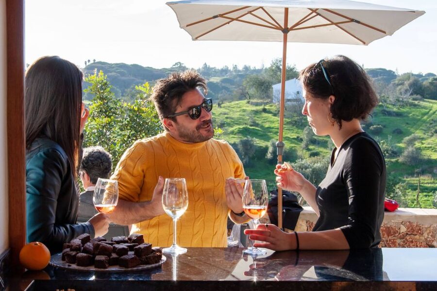 Porches: Algarve Vineyard Tour and Wine Tasting Experience - Practical tips so the tasting goes smoothly
