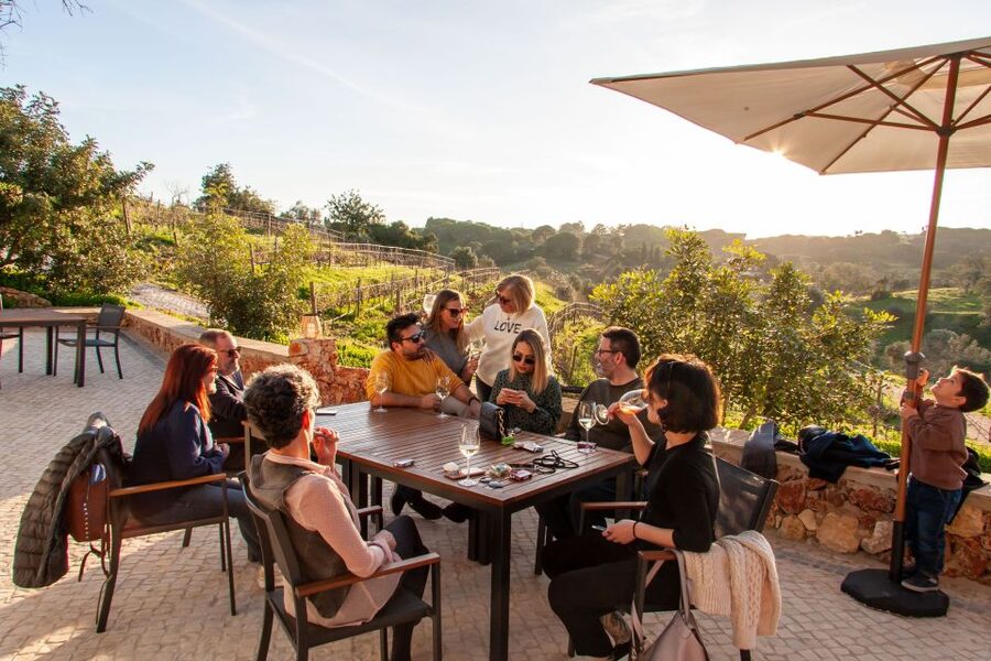Porches: Algarve Vineyard Tour and Wine Tasting Experience - The wine bar tasting: four pours, tapas, and real pairing logic