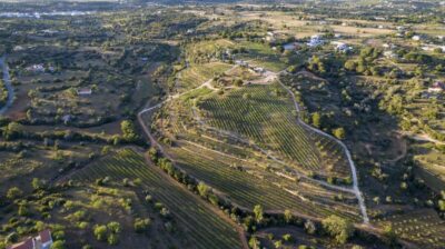 Porches: Algarve Vineyard Tour and Wine Tasting Experience - Meeting point and arrival: the easy start that sets the mood