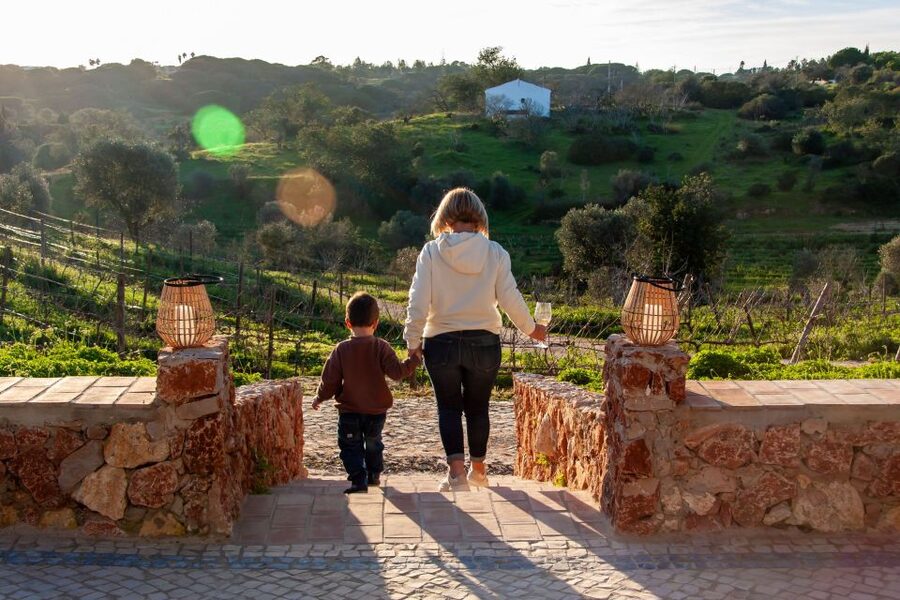 Porches: Algarve Vineyard Tour and Wine Tasting Experience - The vineyard story you’ll actually use later