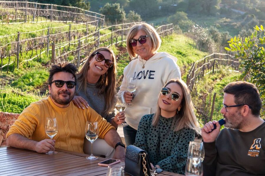 Porches: Algarve Vineyard Tour and Wine Tasting Experience - After the pours: a short vineyard walk for photos and fresh air
