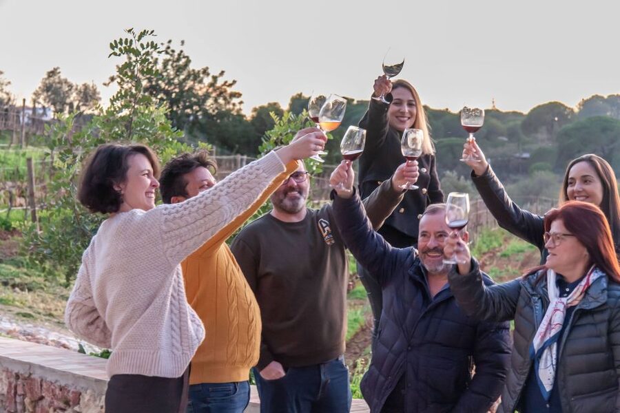 Porches: Algarve Vineyard Tour and Wine Tasting Experience - Wine shop time: browse without pressure