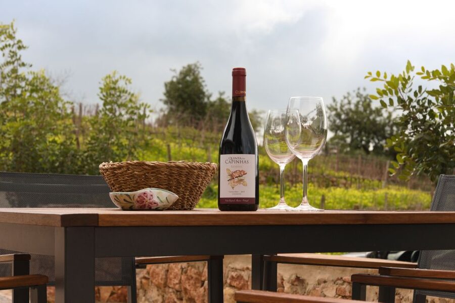Porches: Algarve Vineyard Tour and Wine Tasting Experience - Price and value: is $91 a fair deal in the Algarve?