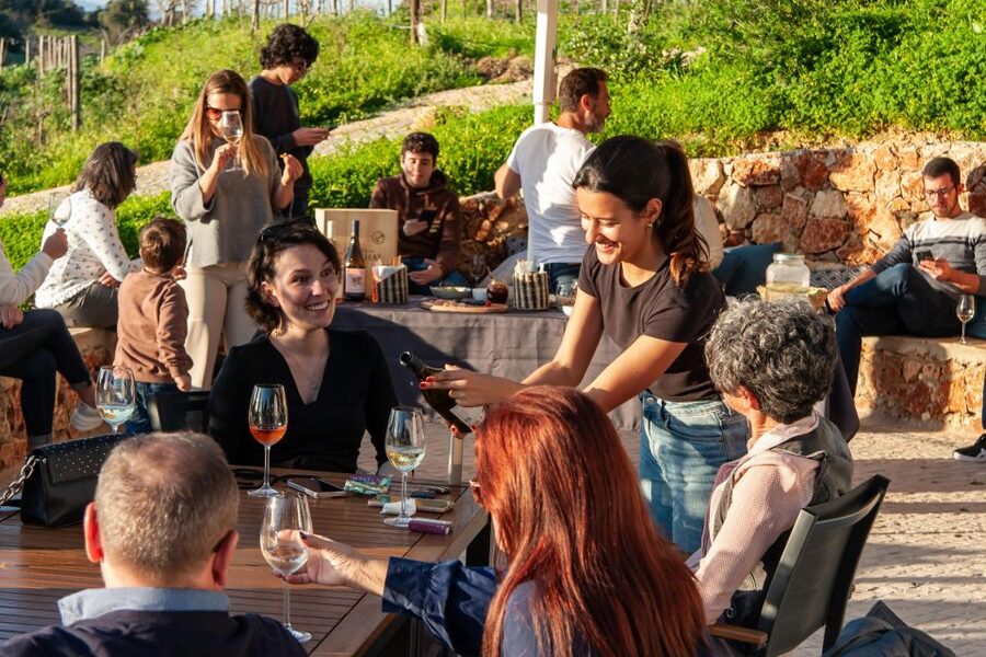 Porches: Algarve Vineyard Tour and Wine Tasting Experience - Who should book this Algarve vineyard tour near Albufeira