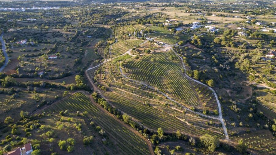 Porches: Algarve Vineyard Tour and Wine Tasting Experience - Meeting point and arrival: the easy start that sets the mood