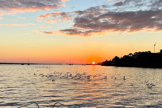 Port : 6 Bridges Cruise With Sunset option & Port wine - Crossing Ponte da Arrábida and Ponte Luís I: the skyline from a new angle