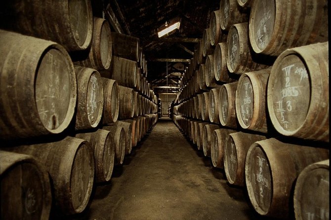 Port Wine Lodges Tour Including 7 Port Wine Tastings (English) - Finding the meeting point near D. Luis Bridge (and not wasting time)
