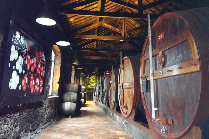 Port Wine Lodges Tour Including 7 Port Wine Tastings (English) - Ending with Porto views: terrace time on the Gaia side