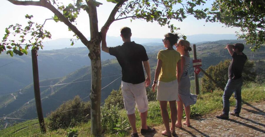 Porto: 3 Douro Valley Vineyards Tour with Lunch - Key highlights you’ll feel from the first hour
