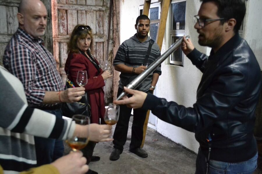 Porto: 3 Douro Valley Vineyards Tour with Lunch - The guides: why this tour often gets 4.8+ ratings
